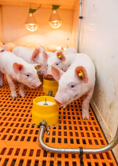 Автоматическая заточка, простые в использовании системы штамповочного пресса с сенсорным экраном